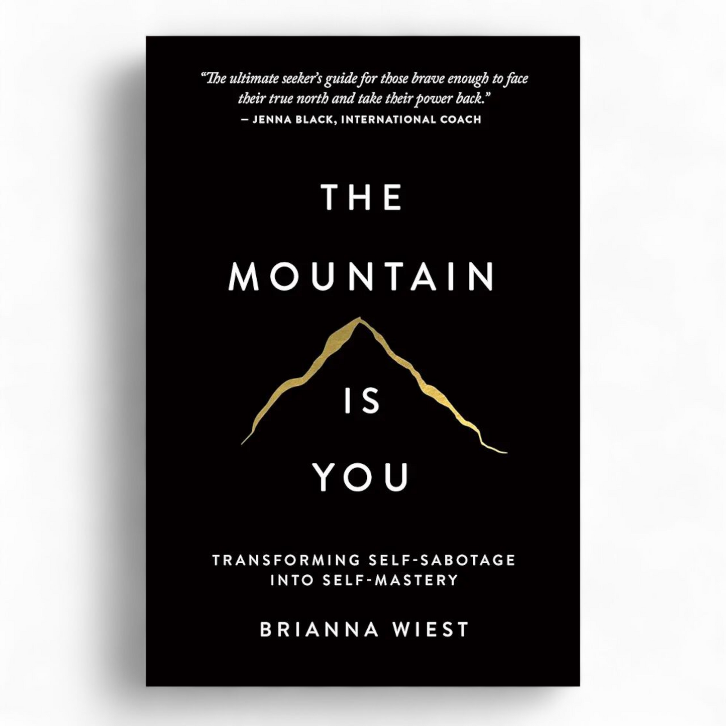 The Mountain Is You by Brianna Wiest