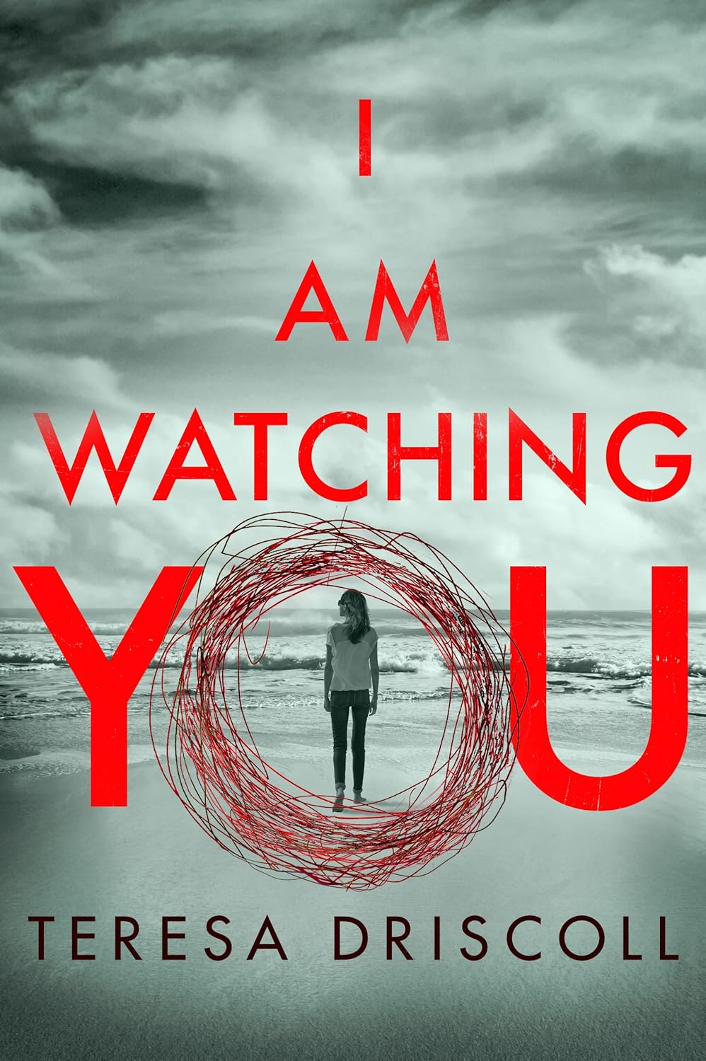 I Am Watching You Book by Teresa Driscoll