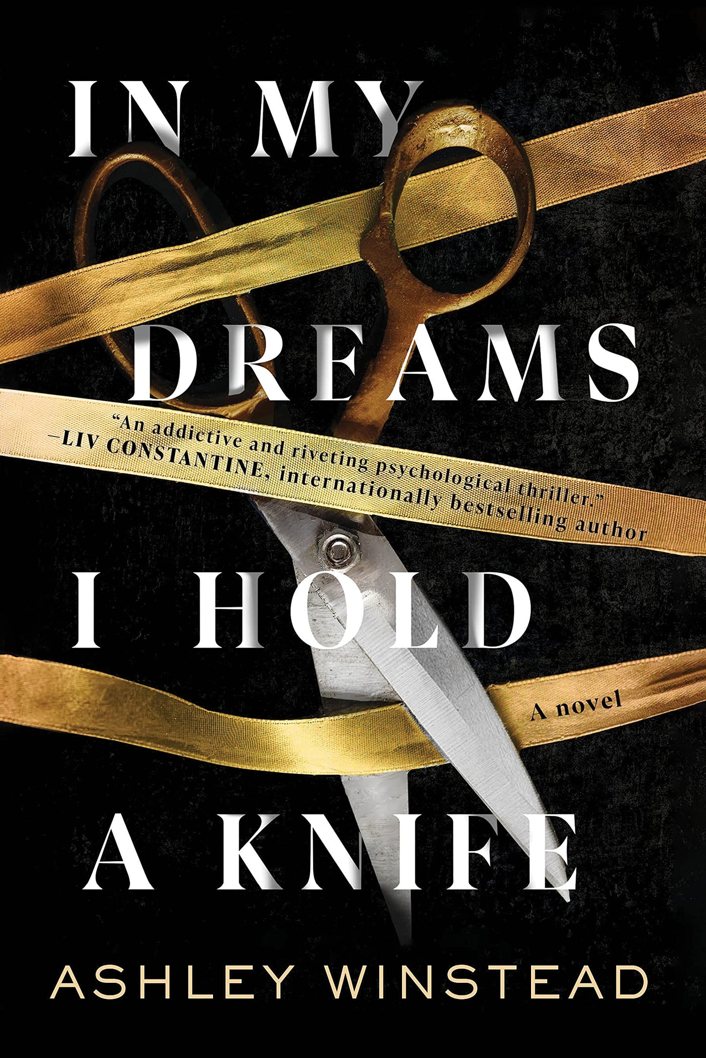 In My Dreams I Hold a Knife: A Novel Book by Ashley Winstead
