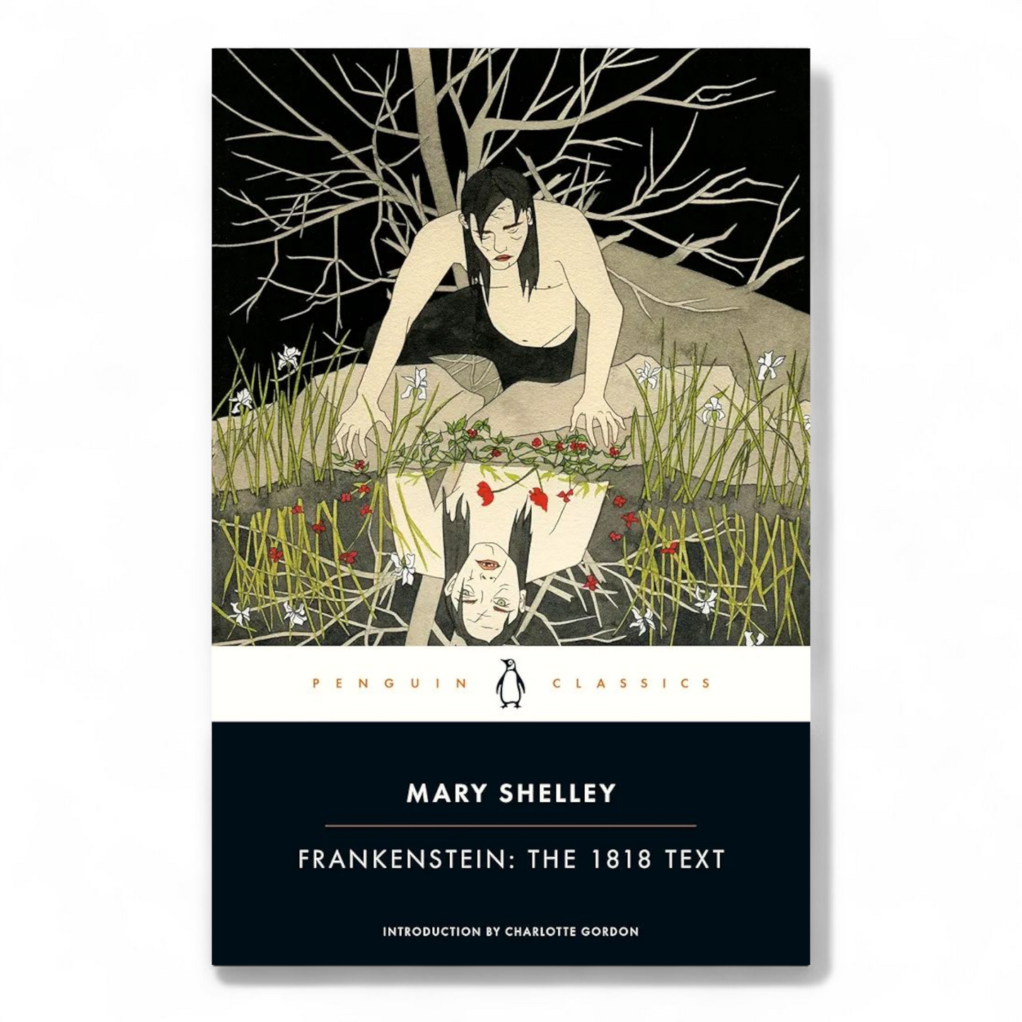 Frankenstein by Mary Shelley